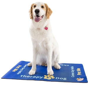 May include: A golden retriever sits on a blue mat. The mat has the words "Therapy Dog", "Pet Me", and "Come Say Hello" printed on it. The dog wears a pink heart-shaped tag.