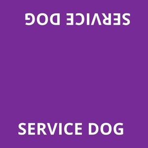 May include: A rectangular purple sign featuring white text. The words SERVICE DOG are printed at the top and bottom, while the phrase DO NOT INTERACT is printed on both the left and right sides. A small white logo with a dog icon is in the corner.