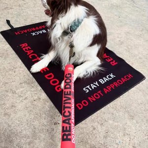 May include: A brown and white dog sits on a black mat with red text that reads "REACTIVE DOG STAY BACK DO NOT APPROACH". A red leash handle with the words "REACTIVE DOG" is in the foreground.