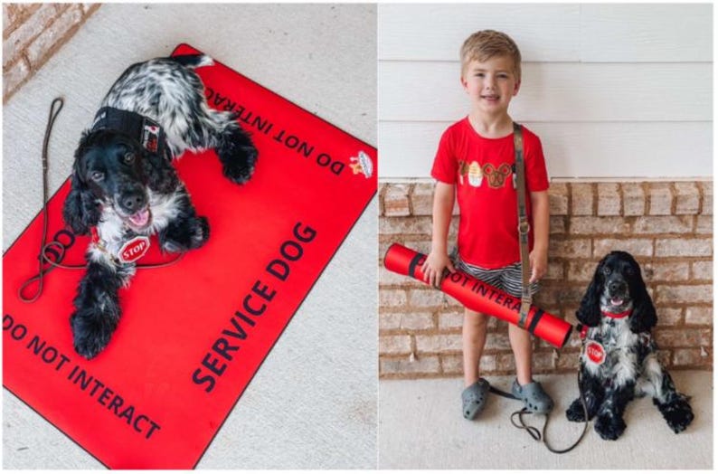 May include: A bright red rectangular mat with the text SERVICE DOG and DO NOT INTERACT printed in black. A black and white spotted dog wears a red collar with a stop sign tag. A matching red cylindrical tube with the same text is also shown.