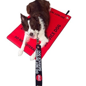 May include: A brown and white dog lying on a rectangular red mat with the text DO NOT INTERACT SERVICE DOG printed in black. A black leash sleeve is attached to the leash, featuring the text DO NOT INTERACT SERVICE DOG and a red stop sign icon.