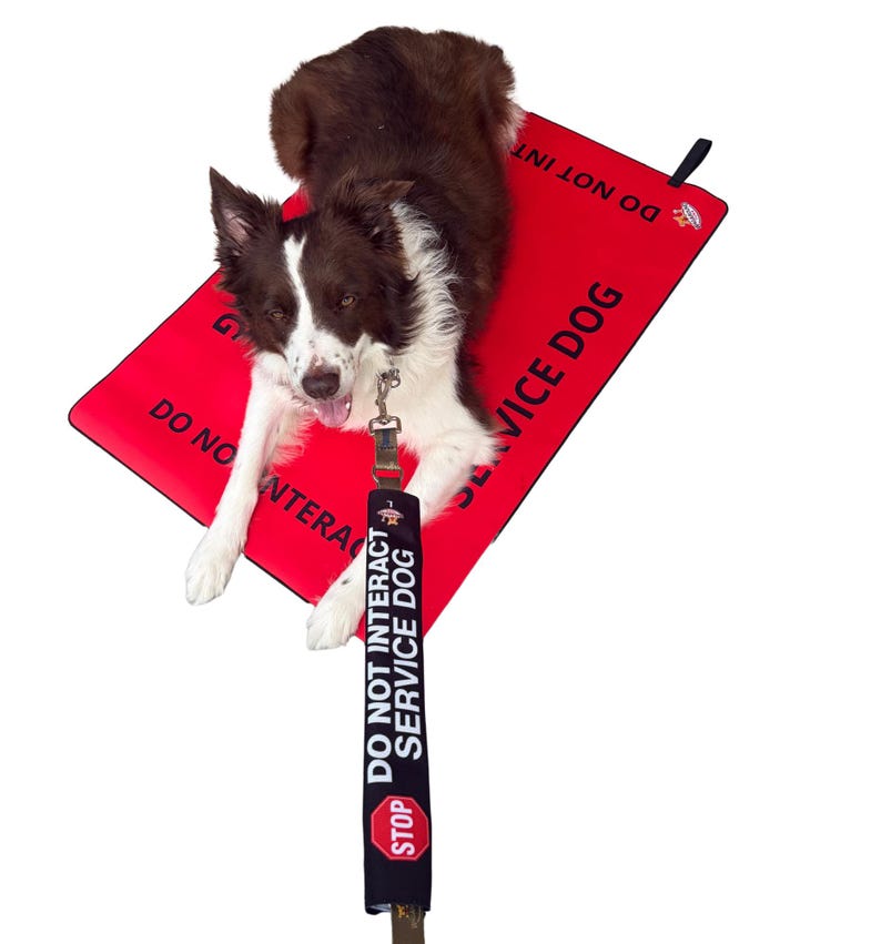 May include: A brown and white dog lying on a rectangular red mat with the text DO NOT INTERACT SERVICE DOG printed in black. A black leash sleeve is attached to the leash, featuring the text DO NOT INTERACT SERVICE DOG and a red stop sign icon.