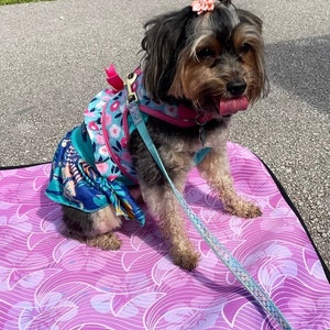 May include: A small, black and brown dog wearing a pink and blue floral harness and a pink flower on its head. The dog is sitting on a purple and white patterned mat.