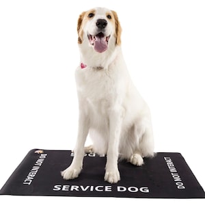 May include: A white and tan dog sitting on a rectangular black mat. The mat features the white text "SERVICE DOG" in the center and "DO NOT INTERACT" printed on the sides. The dog has a pink collar tag and its tongue is visible.