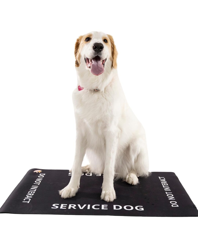 May include: A white and tan dog sitting on a rectangular black mat. The mat features the white text "SERVICE DOG" in the center and "DO NOT INTERACT" printed on the sides. The dog has a pink collar tag and its tongue is visible.