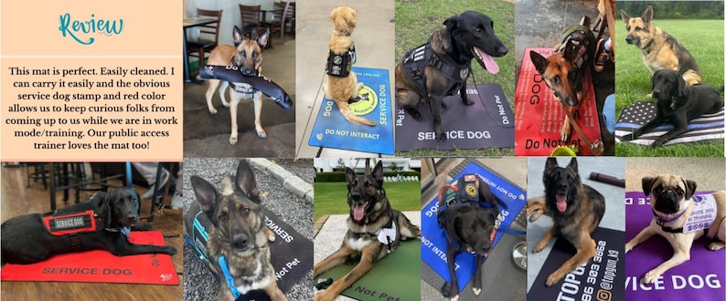 May include: A collection of rectangular service dog mats in various colors including red, blue, black, green, and purple. Each mat features the text SERVICE DOG and DO NOT INTERACT or DO NOT PET. Several dogs are shown resting on these mats.