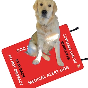 May include: A light-colored golden retriever dog sitting on a rectangular red sign. The sign features white and black text that reads MEDICAL ALERT DOG, STAY BACK, and DO NOT DISTRACT. The sign has black straps attached to the corners for securing it.