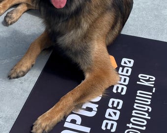 Custom Dog Travel Mat – Neoprene Settle & Training Place Board