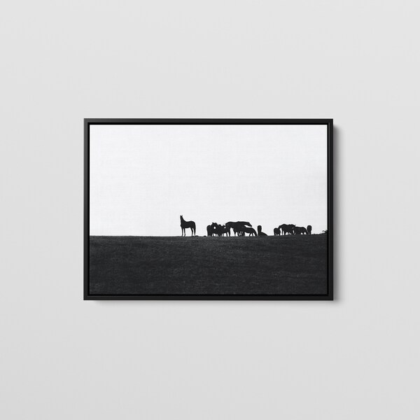 Large Horse Canvas Etsy