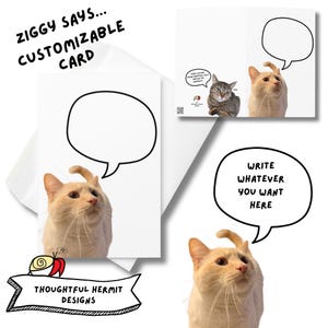 Grappige kattenkaart met unieke aanpasbare groet voor elke gelegenheid met gepersonaliseerd bericht voor elke vakantie kat verjaardagskaart hond gotcha day