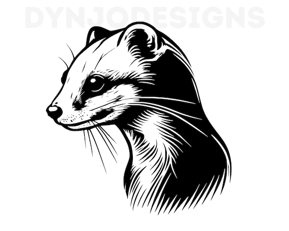Weasel Svg, Weasel Clipart, Weasel Png, Weasel Head, Weasel Cut Files for  Cricut , Weasel Silhouette, Animals Silhouette - Etsy
