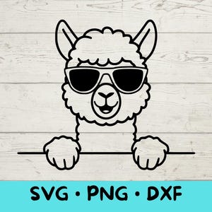 Alpaca che sbircia con occhiali da sole, Alpaca Svg, Alpaca Clipart, Alpaca Png, Testa di Alpaca, Alpaca che sbircia Svg, Animali con occhiali da sole