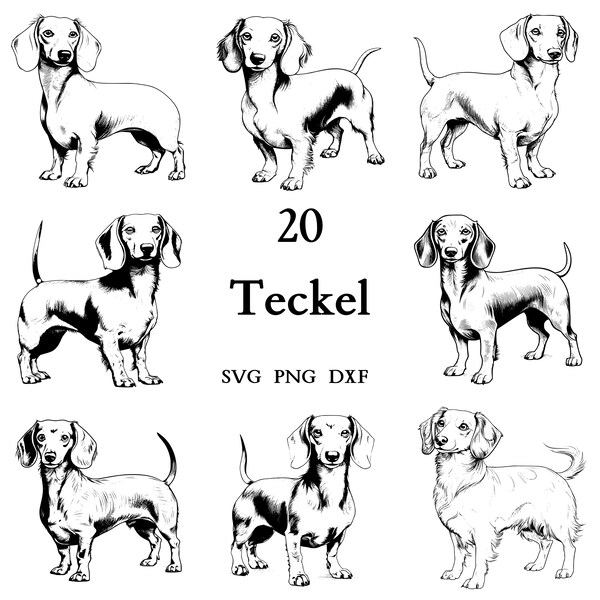 Teckel Svg Bundle , Dog Svg , Cut Files for Cricut And Laser Engraving , 20 Svg, Png, and Dxf Files Combined in One Bundle!