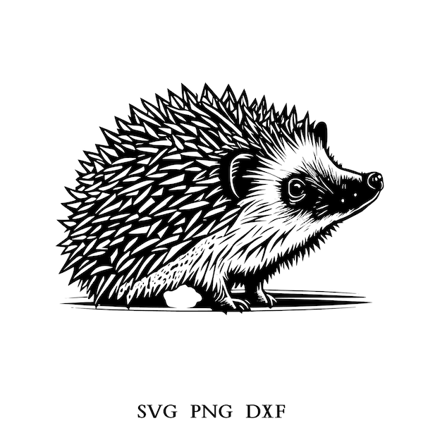 Hedgehog Svg, Hedgehog Clipart, Hedgehog Png, Hedgehog Head, Hedgehog Cut Files For Cricut , Hedgehog Silhouette, Animals Silhouette