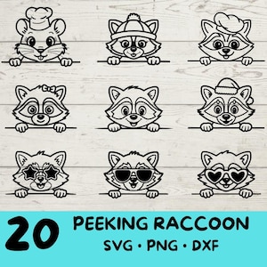 Spähender Waschbär, Waschbär-Svg, Waschbär-Svg-Bundle, niedlicher Waschbär mit | Sonnenbrille | Bogen | Blume| Weihnachten | Mütze