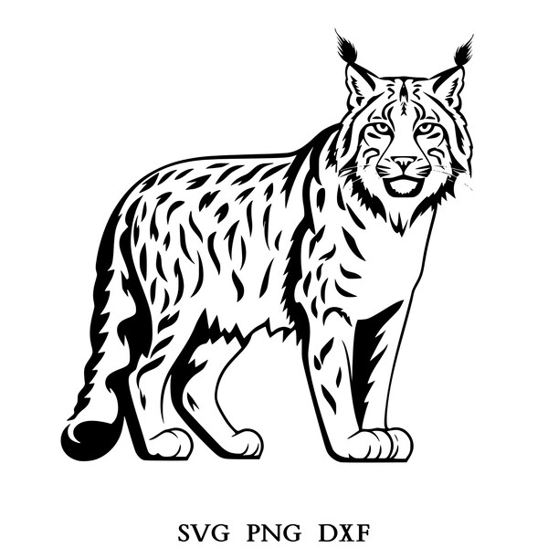 Luchs SVG, Luchs Clipart, Luchs Png, Luchs Kopf, Luchs Schnittdatei für Cricut, Luchs Silhouette, Wildkatze Silhouette