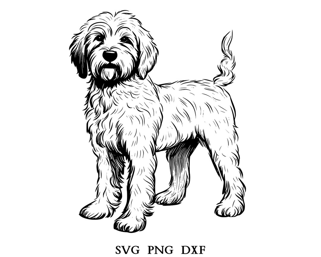 Labradoodle Svg, Labradoodle Clipart, Labradoodle Png, Labradoodle Head