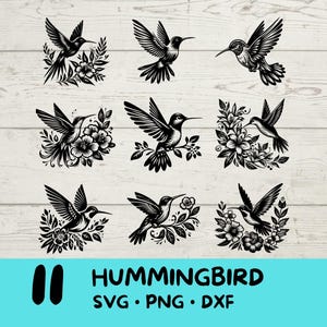 Paquete de SVG de colibrí, SVG de colibrí, archivos de corte para Cricut y grabado láser, 11 archivos SVG, PNG y DXF combinados en un solo paquete.