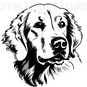 Golden Retriever Svg, Golden Retriever Clipart, Golden Retriever Png, Golden Retriever Head, Golden Retriever Cut Files For Cricut , Dog