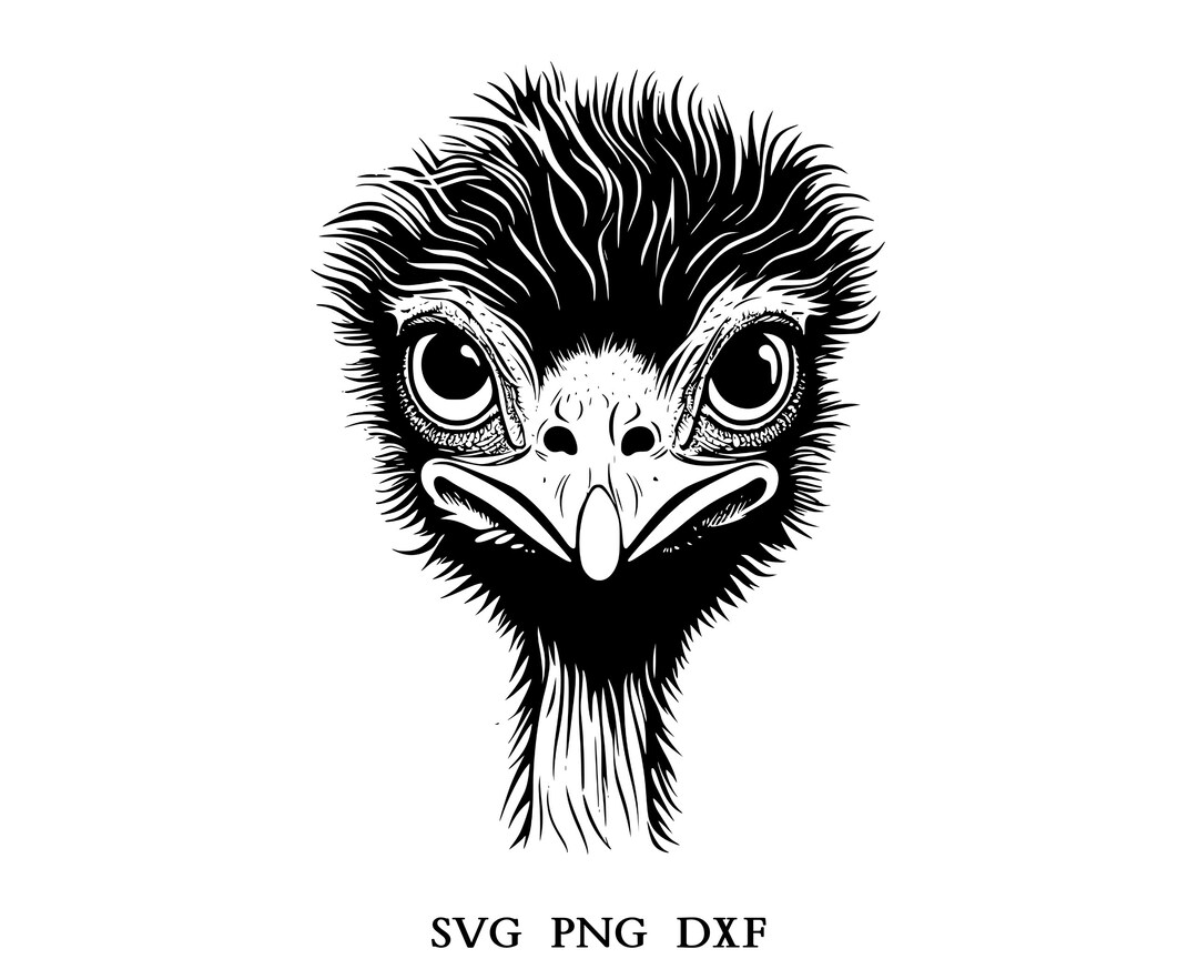 Emu Svg, Emu Clipart, Emu Png, Emu Head, Emu Cut Files for Cricut , Emu