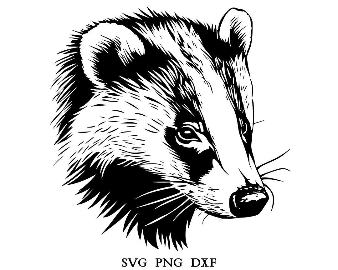 Badger Head, Badger Svg, Badger Clipart, Badger Png, Badger Head