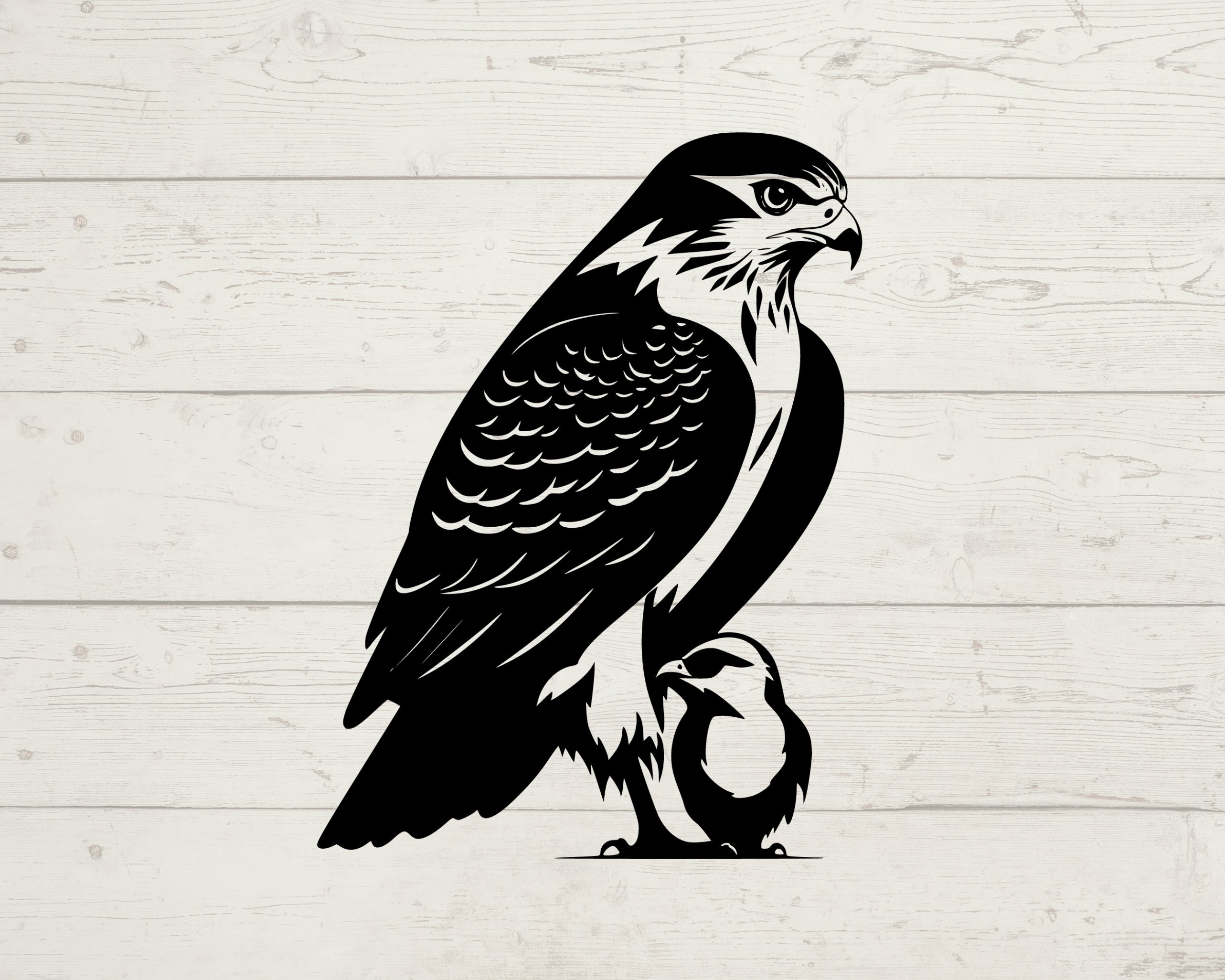 Falcon Clip Art Black And White