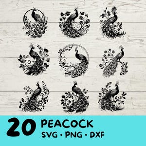 Peacock Svg, Peacock Bundle, Peacock clipart, Peacock png,  Peacock Cut Files for Cricut,  Cute Peacock, Baby Peacock, Svg Bundle