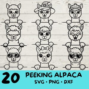Spähendes Alpaka, Alpaka-Svg, Alpaka-Svg-Bundle, süßes Alpaka mit | Sonnenbrille | Bogen | Blume| Weihnachten | Mütze
