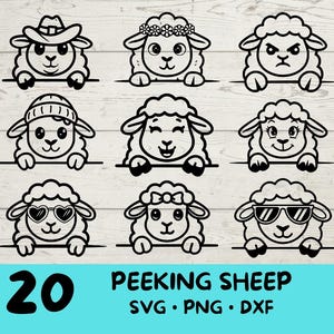 Pecora che sbircia, pecora SVG, pacchetto pecora SVG, pecora carina con / occhiali da sole / fiocco / fiore / Natale / cappello
