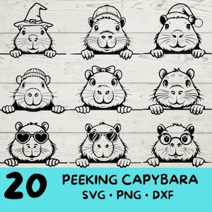 Peeking Capybara, Capybara svg, Capybara svg Bundle, niedliches Capybara mit | Sonnenbrille | Bogen | Blume| Weihnachten | Mütze