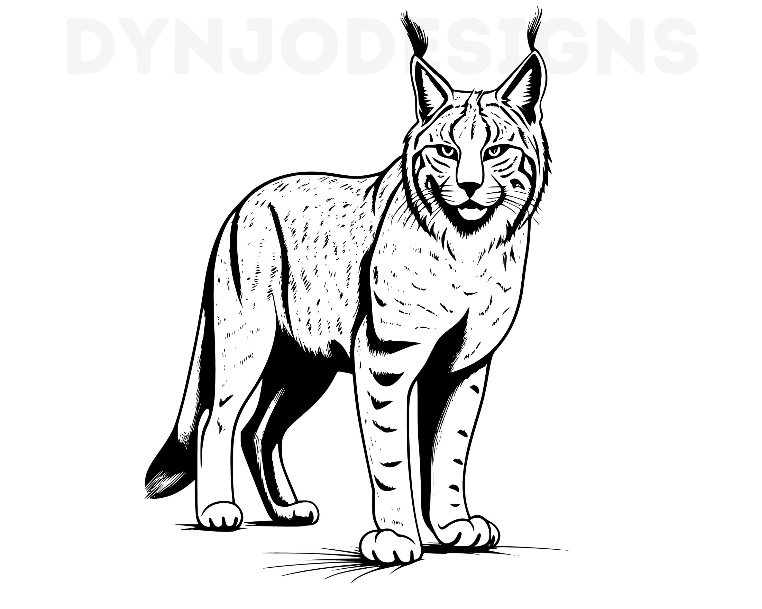 Angie Lynx: The Icon We Need - 5zujey1