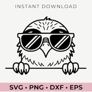 Halcón que mira con gafas de sol, halcón svg, halcón clipart, halcón png, cabeza de halcón, halcón que mira svg, animales con gafas de sol