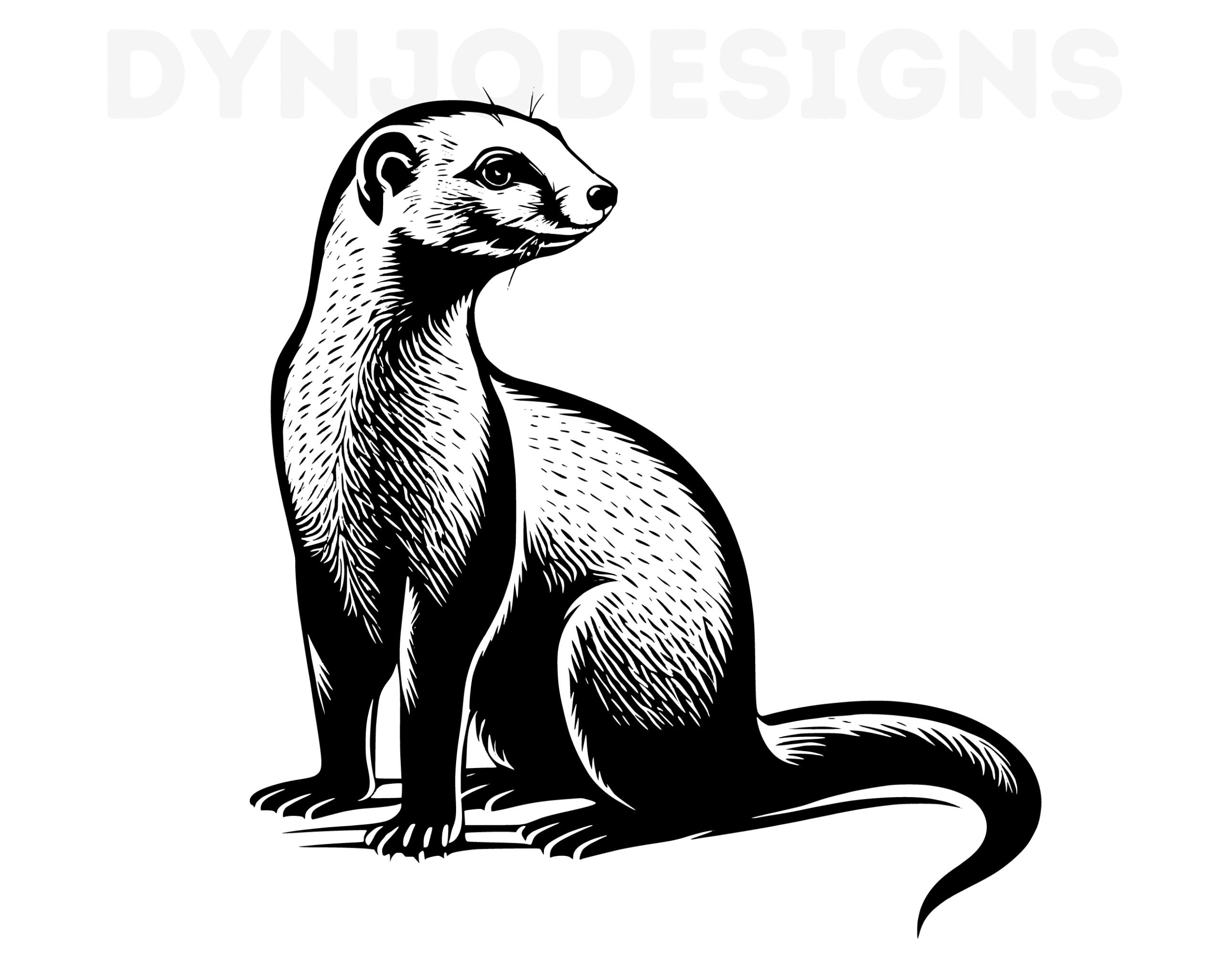 Mongoose Svg Mongoose Clipart Mongoose Png Mongoose Head Etsy Hong Kong