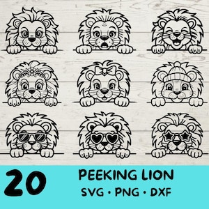León que mira fijamente, León Svg, Paquete de León Svg, Lindo León con / Gafas de sol / Lazo / Flor / Navidad / Sombrero