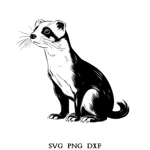 Ferret Svg, Ferret Png, Ferret Clipart, Animal Design