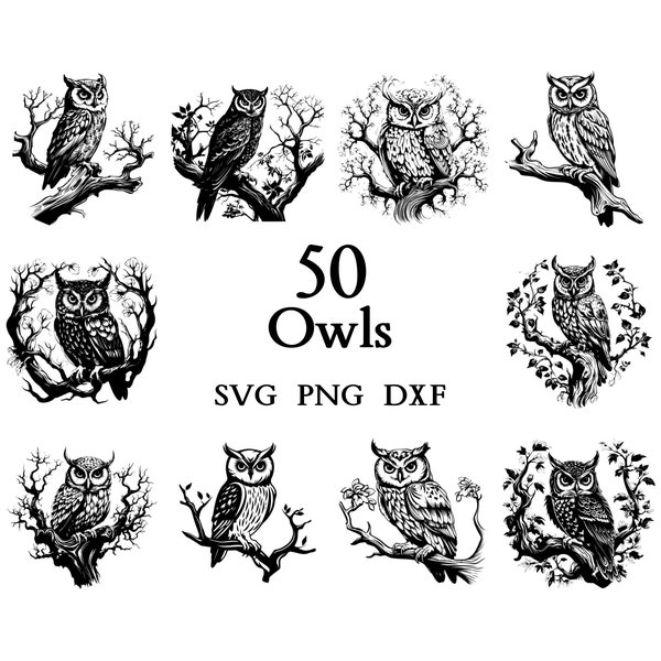 Owl Svg Bundle, Owl Clipart, Owl Png, Owl Head, Owl Cut Files For Cricut , Owl Silhouette, Bird Silhouette