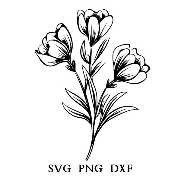 Freesia Svg, Freesia Png, Freesia Clipart, Flower Svg, Flower Png