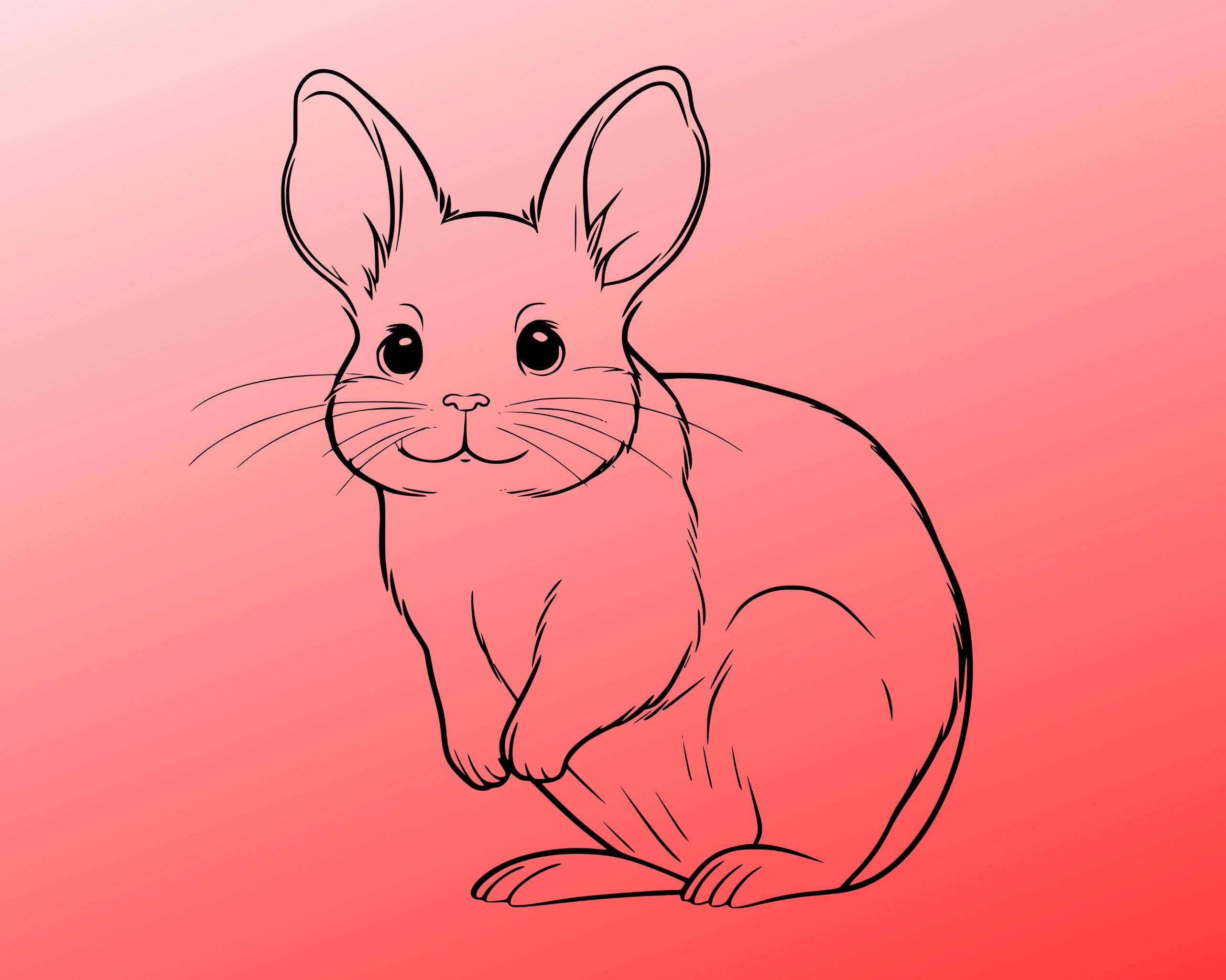 Magic and Moonlit Wings — bramaram: Chinchilla sketches. They are the  cutest...