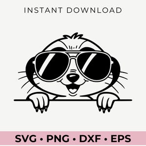 Peeking Erdmännchen Mit Sonnenbrille, Erdmännchen SVG, Erdmännchen Clipart, Erdmännchen Png, Erdmännchen Kopf, Peeking Erdmännchen SVG, Tiere mit Sonnenbrille