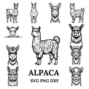 Alpaca Svg Bundle , Alpaca Svg , Alpaca Png, Alpaca Clipart, Alpaca Head, Alpaca Cut Files For Cricut | Sunglasses|Peeking|Graduation|Flower