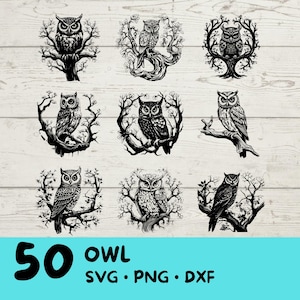 Bundle Svg hibou, clipart hibou, hibou Png, tête de hibou, hibou fichiers coupés pour Cricut, hibou Silhouette, Silhouette d'oiseau
