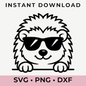 サングラスをかけたクールなハリネズミのSVG – 子供向けの工作やTシャツにぴったりの面白い動物のSVG – かわいいヤマアラシのクリカットカットファイル