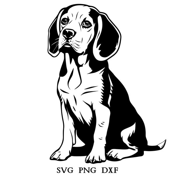 Beagle Svg, Beagle Clipart, Beagle Png, Beagle Head, Beagle Cut Files For Cricut , Beagle Silhouette, Dog Silhouette