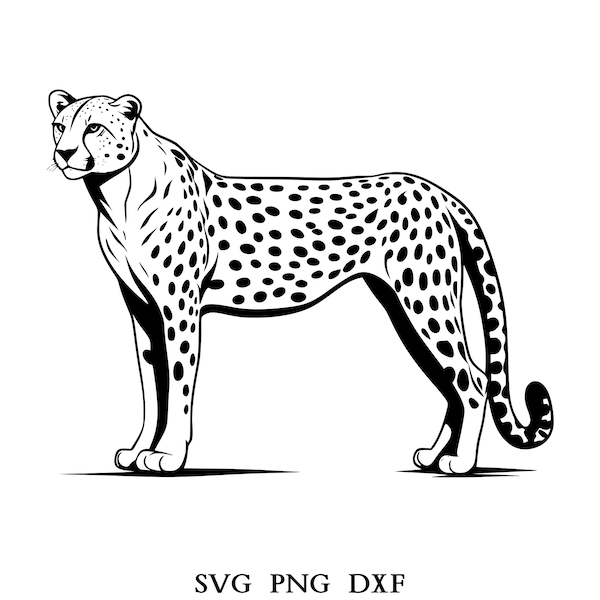 Cheetah Svg, Cheetah Clipart, Cheetah Png, Cheetah Head, Cheetah Cut Files For Cricut , Cheetah Silhouette