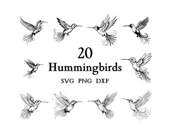 Kolibri-Svg-Bundle, Kolibri-Svg, Schnittdateien für Cricut und Lasergravur, 20 SVG-, Png- und Dxf-Dateien in einem Bündel kombiniert!