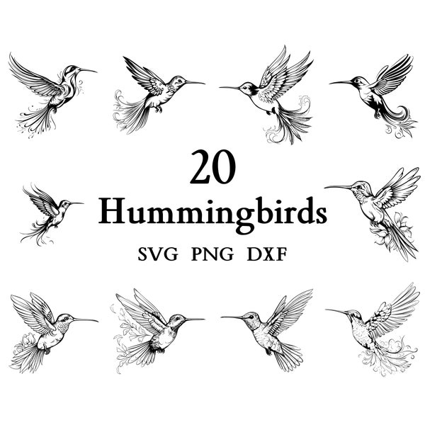 Hummingbird Svg Bundle , Hummingbird Svg , Cut Files for Cricut And Laser Engraving , 20 Svg, Png, and Dxf Files Combined in One Bundle!
