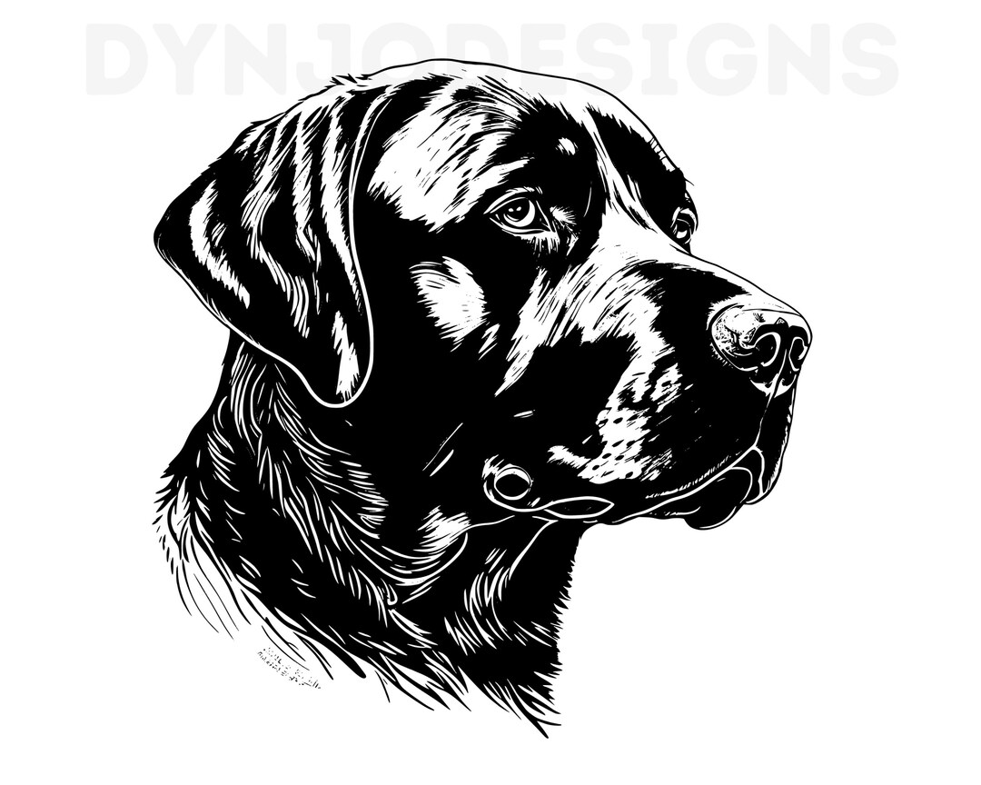 Labrador Retriever Svg, Labrador Retriever Clipart, Labrador Retriever