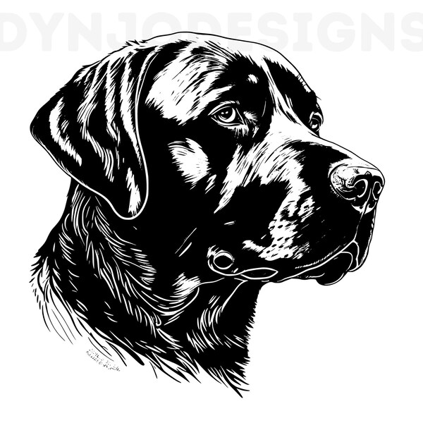 Labrador Retriever Svg, Labrador Retriever Clipart, Labrador Retriever Png, Labrador Retriever Head, Labrador Retriever Cut Files For Cricut