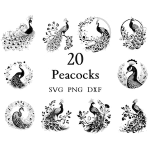 Peacock Svg, Peacock Bundle, Peacock clipart, Peacock png,  Peacock Cut Files for Cricut,  Cute Peacock, Baby Peacock, Svg Bundle