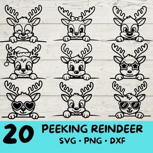 Spähendes Rentier, Rentier-Svg, Rentier-Svg-Bundle, niedliches Rentier mit | Sonnenbrille | Bogen | Blume| Weihnachten | Mütze